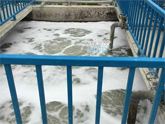 污水處理羅茨風(fēng)機